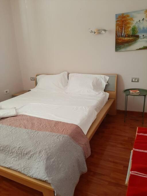 Apartament Julio Center Tirana
